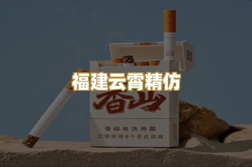 福建云霄精仿